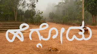 Heggodu Village in Sagara Taluk of Shivamogga