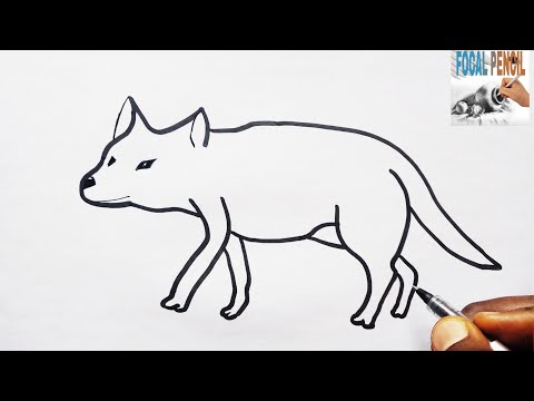 How do you draw a easy Jackal?