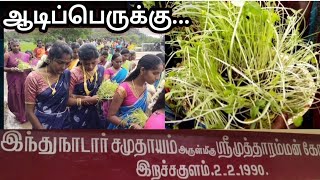 ஆடிப்பெருக்கையொட்டி இறச்சகுளம் முத்தாரம்மன் கோவிலில் முளைப்பாரி ஊர்வலம்@kumaristarsnews8979