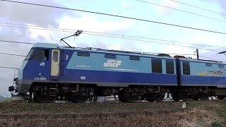 ﾌﾞﾙｰｻﾝﾀﾞｰEH200-14牽引2081ﾚ　45分遅れ　隅田川→新潟