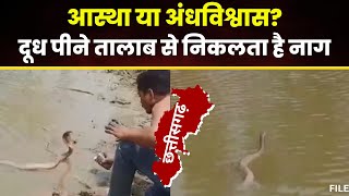 Chhattisgarh का एक ऐसा गांव..जहां दूध पीने तालाब से निकलता है 'नाग सांप'। Baikunthpur News