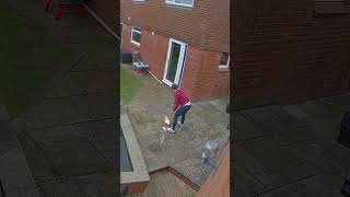 My wife went into the garden at the perfect time 🤣😲 (🎥: Collab)