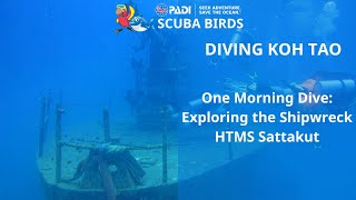 Koh Tao Scuba Diving. One Morning Dive: Exploring the Shipwreck HTMS Sattakut