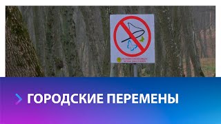 Вопросы организации пространства города обсудили на первом в 2025 году заседании Общественной палаты