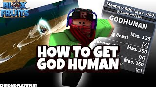 How to get God Human Fighting Style (Full Guide) - Blox Fruits Update 17 Part 3