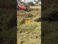 agriculture farmer song viral video like pls support me friends subscribe 🤌🏻🫣🫣