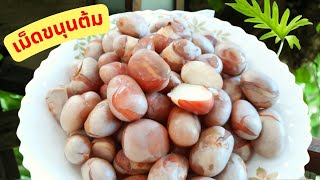 เม็ดขนุนต้ม วิธีต้ม/ประโยชน์เม็ดขนุน Boil Jackfruit Seeds เม็ดขนุนทำอะไรได้บ้างของว่างทานเล่นFitFood