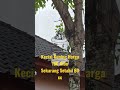 Kecial Kuning Ngejos Gacor Stabil 60 cc