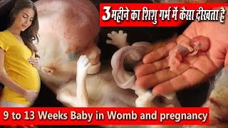 3rd Month of Pregnancy and Baby Development in the Womb, गर्भावस्था का 4 महीना