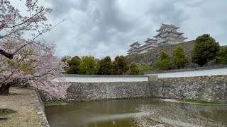 世界遺産国宝姫路城🌸千姫の祈り