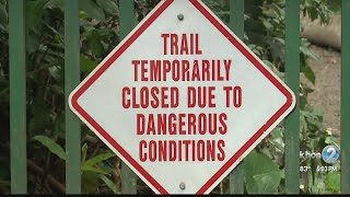 DLNR officers cite four people for entering closed Manoa Falls Trail