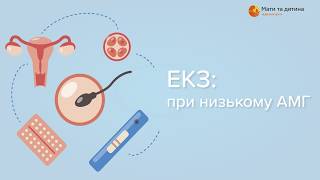 ЕКЗ: при низькому АМГ. Радько Віталій