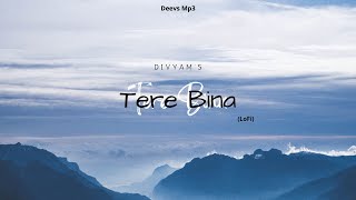 Tere Bina LoFi | Slowed+Reverb | A.R. Rahman | Chinmaye | Murtuza Khan | Qadir Khan | Divyam Agarwal