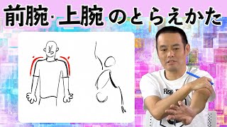 ラクガキ雑談#66：たてなか流で描く「腕」、直線とカーブの組み合わせ考察