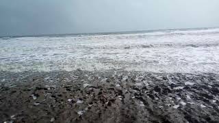 વેરાવળ ચોપાટી બીચ || veraval chowpati beach || yamit benarji