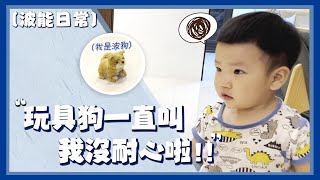 【波能日常#17】 狗狗一直叫一直叫！阿波沒耐心了啦！(1Y0M2D)