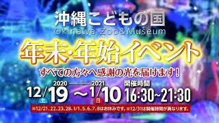 第25回 沖縄こどもの国 クリスマスファンタジー