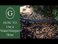 How To Use A Water Weeper Hose | GARDENWORKS Canada