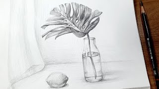 Dessin botanique - pencil drawing sounds ASMR