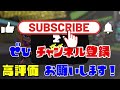 現環境xp3000わかばの試合中考えてる事を言語化【スプラトゥーン3】