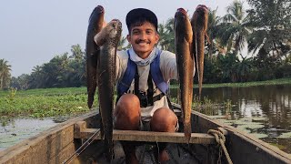 ഇത്രയും മീൻ ആരെങ്കിലും പിടിച്ചിട്ടുണ്ടോ...❓️...ഇവിടെ മുഴുവൻ ചെറുമീൻ ആണ്... എന്റെ അമ്മേ  ഞാൻ മടുത്തു.