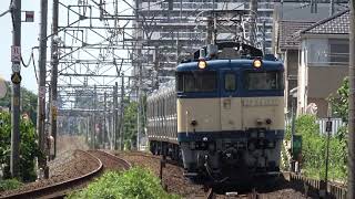 EF64 1031 E235 新津配給 他 2023.7.6