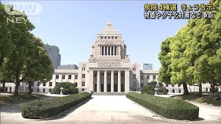 衆院4補選きょう告示 物価高や少子化対策など争点(2023年4月11日)