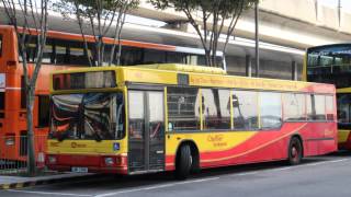 [1080p HD] [Hong Kong Cityflyer] 城巴機場快線猛獅NL262/R空調十一點七米 #1561-1569