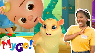 Lost Hamster | MyGo! Sign Language For Kids | CoComelon - Nursery Rhymes | ASL