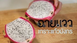 ฉายแวว [by Mahidol] เกราะแก้วมังกร