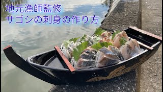 地元漁師監修～サゴシのお刺身のつくり方～