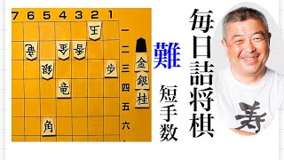 毎日詰将棋　その244