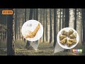 光對生物的影響 【中學生物】