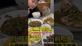 2月12日，浙江。小孩哥当着猫咪面吃鱼，小猫咪馋得一直盯着筷子看，网友：它竟然还能小爪一擦缓解尴尬！#算了跟你们不养猫的人说不清楚 #猫咪要吃鱼了 #喵星人 #养猫