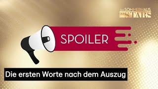 Das nächste Paar sagt TSCHÜSS👋 | Das Sommerhaus der Stars