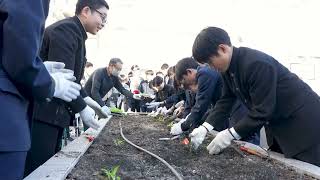 菜の花　贈呈　植え込み　福島市立西信中学校 → 中央区立銀座中学校  菜の花交流会 銀座ミツバチプロジェクト