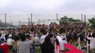 「名古屋学生チーム　鯱」犬山踊芸祭2013　1日目　石作公園