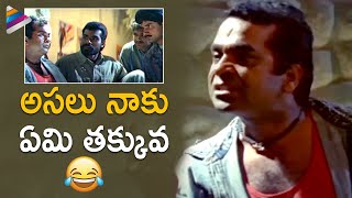 Brahmanandam Ever Green Comedy Scene | Money Money Telugu Movie | Ram Gopal Varma | JD Chakravarthy