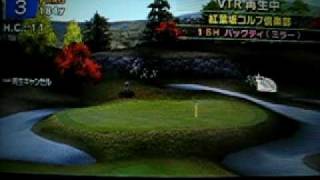 みんなのGOLFポータブル2 エース 41 (旗包み)