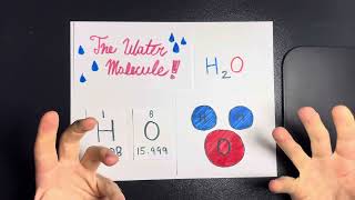 The Water Molecule