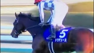 2023年　有馬記念　ドウデュース　武豊　ラジオ日本実況中継　レース映像　武豊有馬記念4勝目　#武豊　#有馬記念　#宝塚記念ドウデュース #レース映像#レースビデオ#武豊有馬記念#有馬記念ドウデュース