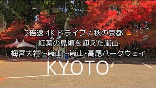 2倍速 4K ドライブ / 秋の京都 🍁紅葉の見頃を迎えた嵐山 / 梅宮大社〜嵐山〜嵐山•高尾パークウェイ 紅葉状況 / ギャラクシー S24 Ultra  / 241201