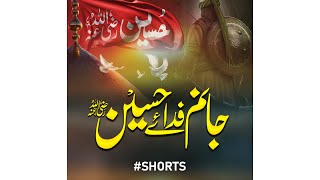 Manqabat - Janam Fida E Hussain (rz) - Hafiz Muhammad Jalabeeb - Peace Studio Shorts #shorts