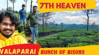 Valparai 7th Heaven | தேயிலை தோட்டம் | Fully misty