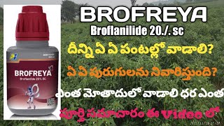 P I #Briflanilide20./.sc మిరప పంటలో వాడడం వలన ఎలాంటి ప్రయోజనాలు ఉంటాయి #BROFREYA details in telugu