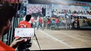 Rk bulls vatapallam tigers in the race