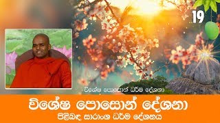 විශේෂ පොසොන් දේශනා පිළිබඳ සාරාංශ ධර්ම දේශනය | විශේෂ පොසොන් දේශනා 19