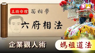 面相學六府相法的基準是什麼？上中下府代表什麼？_企業觀人術面相學【YDM媽祖五術道法】