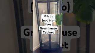 Milsbo ikea greenhouse glass cabinet #plants #ikeagreenhousecabinet  #ikea