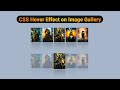 Create a Stunning Image Gallery 🖼️ | Hover Effects Tutorial HTML/CSS| mzcode01 #coding #css #shorts